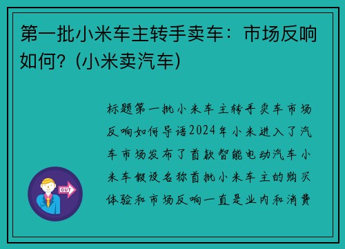 第一批小米车主转手卖车：市场反响如何？(小米卖汽车)