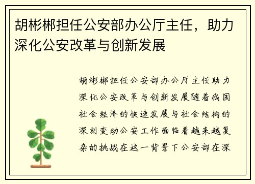 胡彬郴担任公安部办公厅主任，助力深化公安改革与创新发展